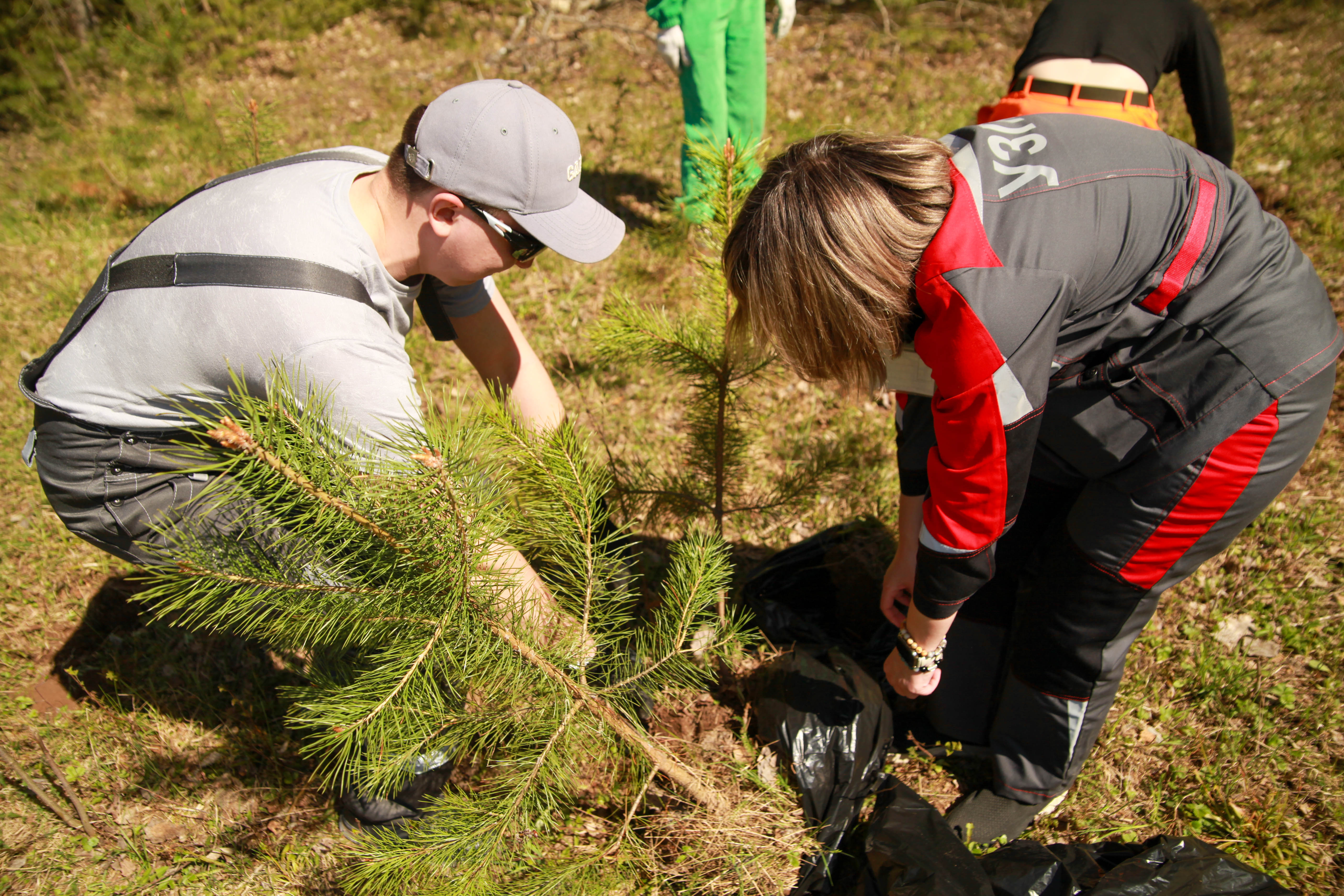 Совет молодежи УЗПМ принял участие в экологической акции по озеленению Краснокамска
